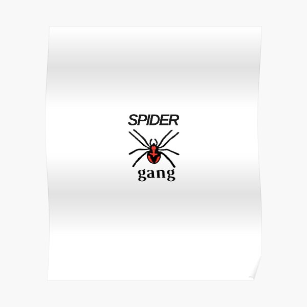 Spider Gang Lil Darkie Classic T-Shirt Poster RB0208 product Offical lil darkie Merch